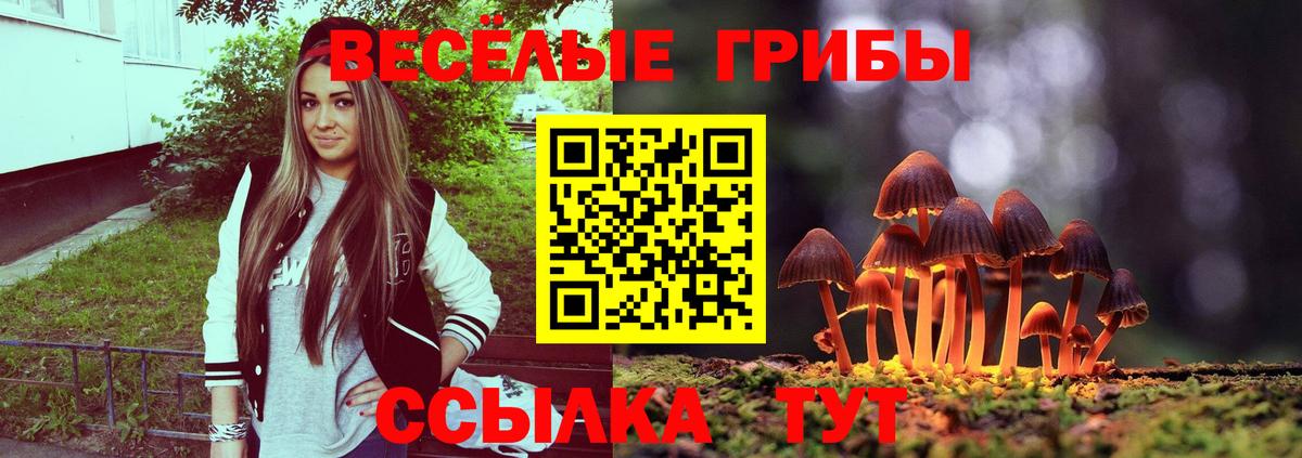 Псилоцибиновые грибы Psilocybe  Галлюциногенные грибы прущие грибы  Берёзовский  Вход с VPN 